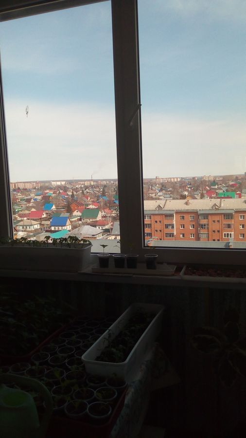 Рогачева, 24, 3-к квартира